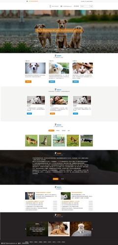 萌寵之家 打造用戶喜愛的寵物網(wǎng)頁設(shè)計模板指南